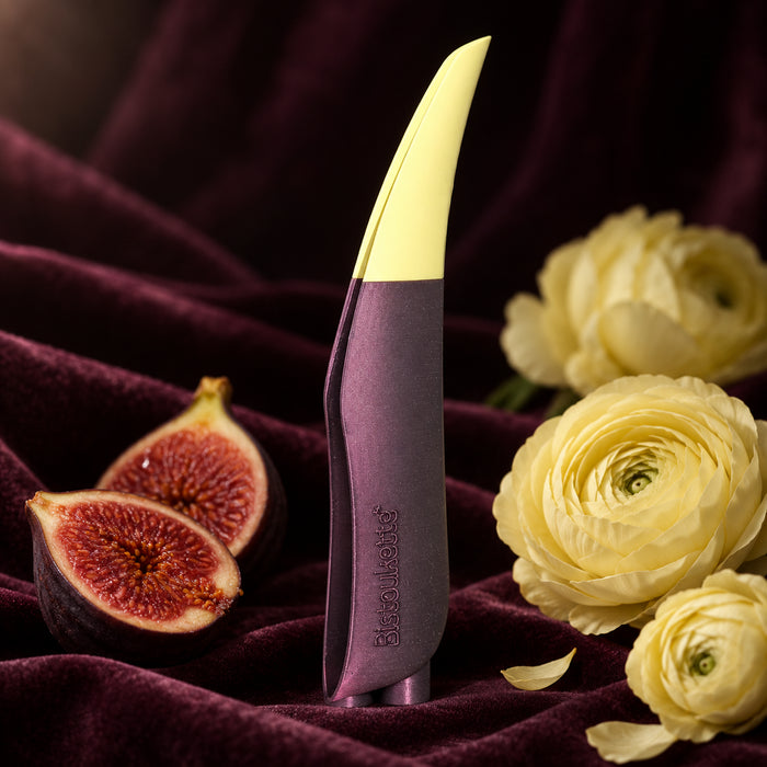 Bistoukette La Bicolore coloris anthracite violette et citron sur un velours prune, entre des figues ouvertes et des renoncules jaune pâle
